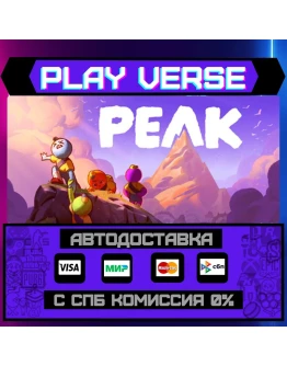 PEAKАВТОВЫДАЧАSTEAM GIFT