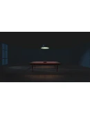 OccludeАВТОВЫДАЧАSTEAM GIFT