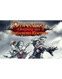 Divinity: Original Sin Enhanced Edition Global GOG KEY