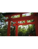 Lushfoil Photography Sim Xbox Series XS активация