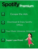 SPOTIFY PREMIUM 3 МЕСЯЦA АККАУНТ
