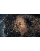 Path of Exile 2 Early Access Supporter Packs XBOX KEY