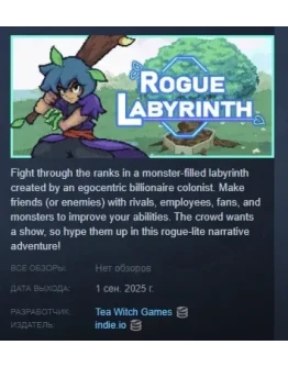 Rogue Labyrinth АВТОДОСТАВКА STEAM РОССИЯ