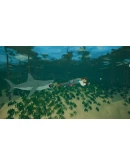 Captain Bones Xbox One &amp Xbox Series XS активация