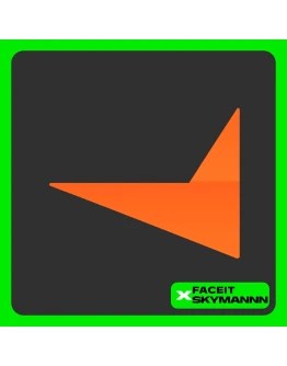 FACEIT ПОДПИСКИ 1-12 месяцев PLUS / PREMIUM