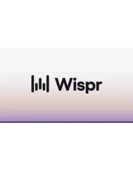 Wispr Flow Pro 1 год владения Голосовая диктовка на