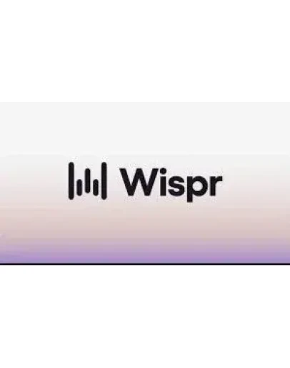 Wispr Flow Pro 1 год владения Голосовая диктовка на