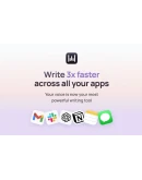 Wispr Flow Pro 1 год владения Голосовая диктовка на