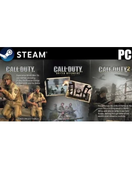 CALL OF DUTY (2003) + COD2 + UNITEDSTEAMPCНА 90 ДН