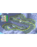 Crashy Laps (Steam key / РФ+Весь Мир)