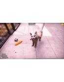 Animal Shelter 2STEAM GIFT AUTORU+МИР