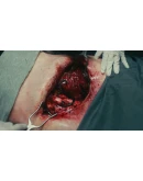 Dead Reset АВТОДОСТАВКА STEAM РОССИЯ