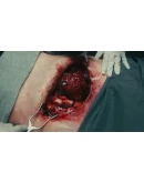 Dead ResetSTEAM GIFT AUTORU+МИР