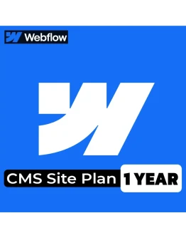 Webflow CMS Site 1 год на вашу электронную поч