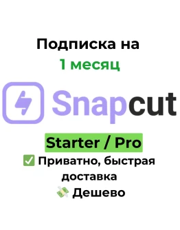 Подписка Snapcut AI Starter/Pro 1 месяц