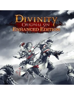 DIVINITY ORIGINAL SIN ENHANCED EDITION PS4/PS5 П2/П3