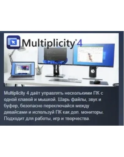 Multiplicity 4 АВТОДОСТАВКА STEAM РОССИЯ