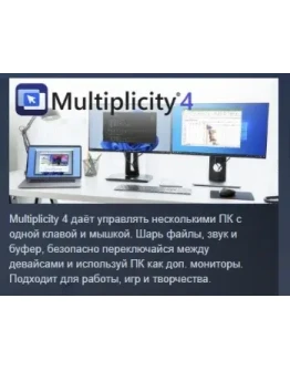 Multiplicity 4 Pro АВТОДОСТАВКА STEAM РОССИЯ