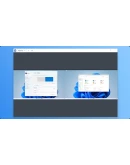 Multiplicity 4 Pro АВТОДОСТАВКА STEAM РОССИЯ