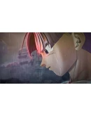 DRAGON BALL XENOVERSE 2 PS4/PS5 П2/П3 DRAGON BALL XENOVERSE 2 PS4/PS5 П2/П3