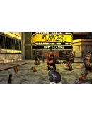 Duke Nukem 3D 20th Anniversary World Tour PS4/PS5П2/П3