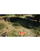 DACHASTEAM GIFT AUTORU+МИР