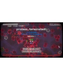 Antivirus PROTOCOL АВТОДОСТАВКА STEAM РОССИЯ