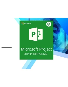Microsoft Project Professional 2019