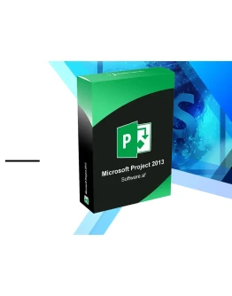 Microsoft Project Professional 2013