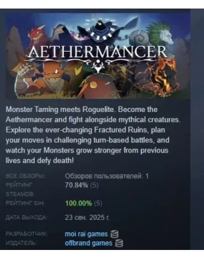 Aethermancer АВТОДОСТАВКА STEAM РОССИЯ