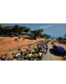 Pro Cycling Manager 25 КЛЮЧ STEAM РФ+СНГ
