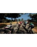 Pro Cycling Manager 25 КЛЮЧ STEAM РФ+СНГ