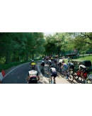 Tour de France 2025 КЛЮЧ STEAM ROW