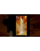 FOMOGRAPHY КЛЮЧ STEAM РФ+СНГ