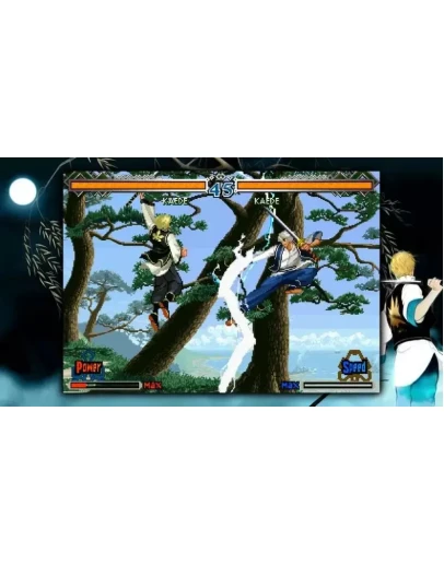 THE LAST BLADE 2 КЛЮЧ STEAM ВСЕ СТРАНЫ