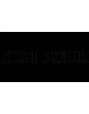 Ruined Kingdom КЛЮЧ STEAM ВСЕ СТРАНЫ