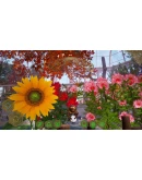 Bee Simulator: The Hive КЛЮЧ STEAM РФ+СНГ