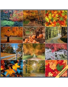 Отличные обои на рабочий стол на тему Осень + БОНУС