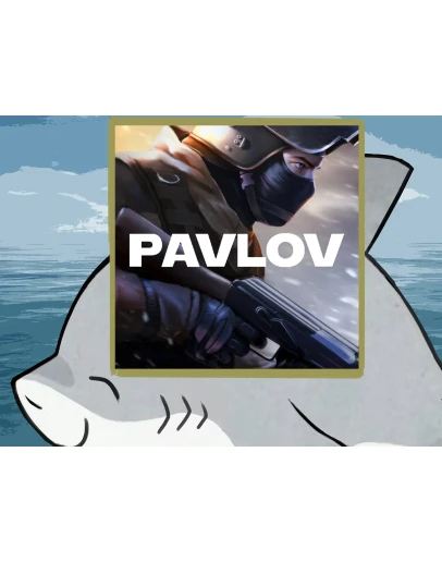 Pavlov PS5 VR2 п2 п3