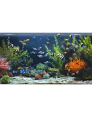 Zen Aquarium АВТОДОСТАВКА STEAM РОССИЯ