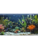 Zen Aquarium АВТОДОСТАВКА STEAM РОССИЯ