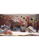 Zen Aquarium АВТОДОСТАВКА STEAM РОССИЯ