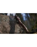 RUST CONSOLE EDITION X|S - FRONTIERSMAN PACK XBOX SERIE RUST CONSOLE EDITION X|S - FRONTIERSMAN PACK XBOX SERIE