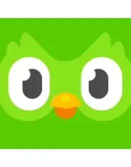Duolingo Super подписка 1-12 месяцев на вашу учетную за