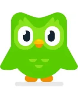 Duolingo Super | подписка 1/3/6/12 месяцев на ваш Duolingo Super | подписка 1/3/6/12 месяцев на ваш