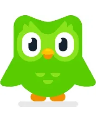 Duolingo Super  | подписка 1/3/6/12 месяцев на ваш