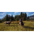 Way of the Hunter СТИМ Steam Gift