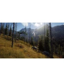 Way of the Hunter СТИМ Steam Gift