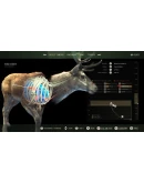 Way of the Hunter СТИМ Steam Gift Way of the Hunter СТИМ Steam Gift