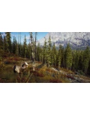 Way of the Hunter СТИМ Steam Gift Way of the Hunter СТИМ Steam Gift